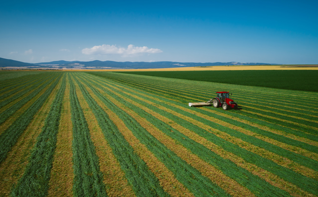 Investir dans les groupements agricoles ou viticoles