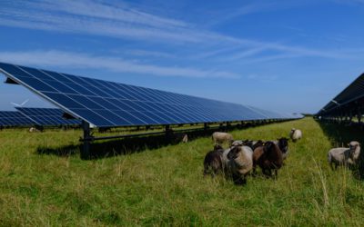 L’agrivoltaïsme : l’alliance de l’agriculture et de l’énergie